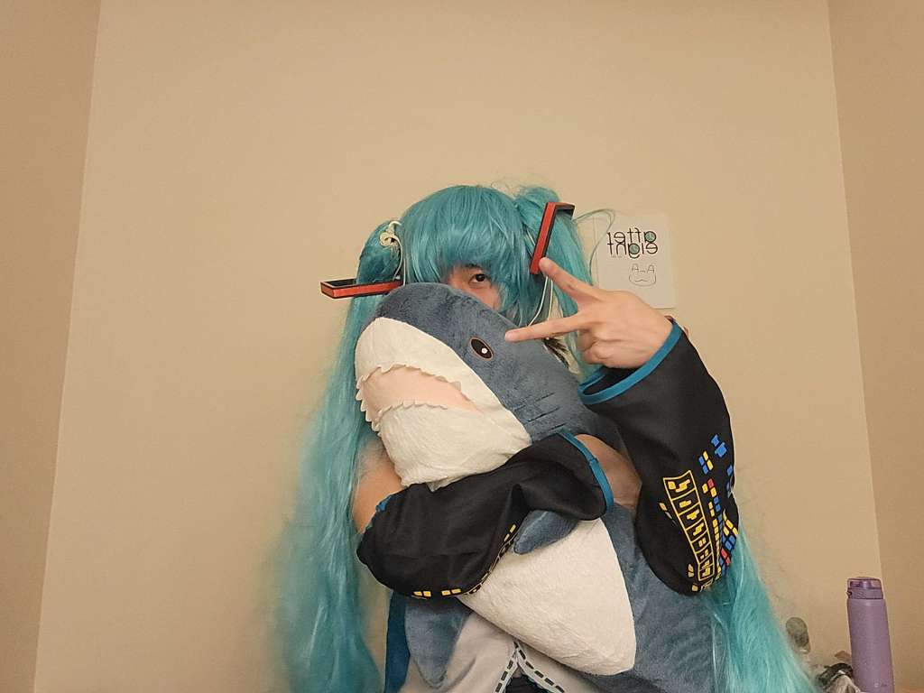 Meet Dusk: The Emotional Support&nbsp;Shark!