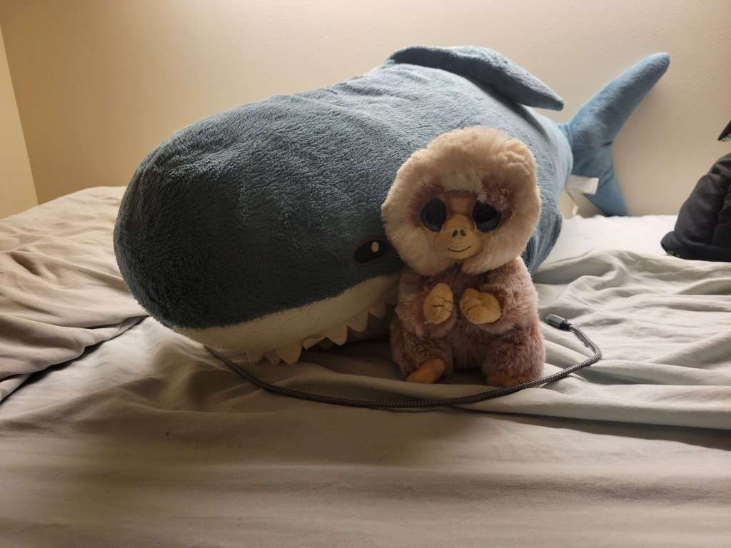 Dusk’s Friend: The&nbsp;Critter