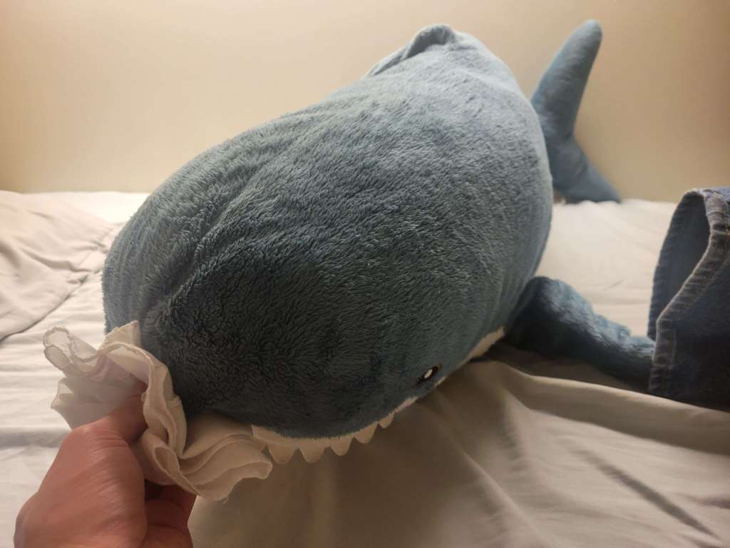 Caring for Dusk: A Guide to Managing Seasonal&nbsp;Allergies