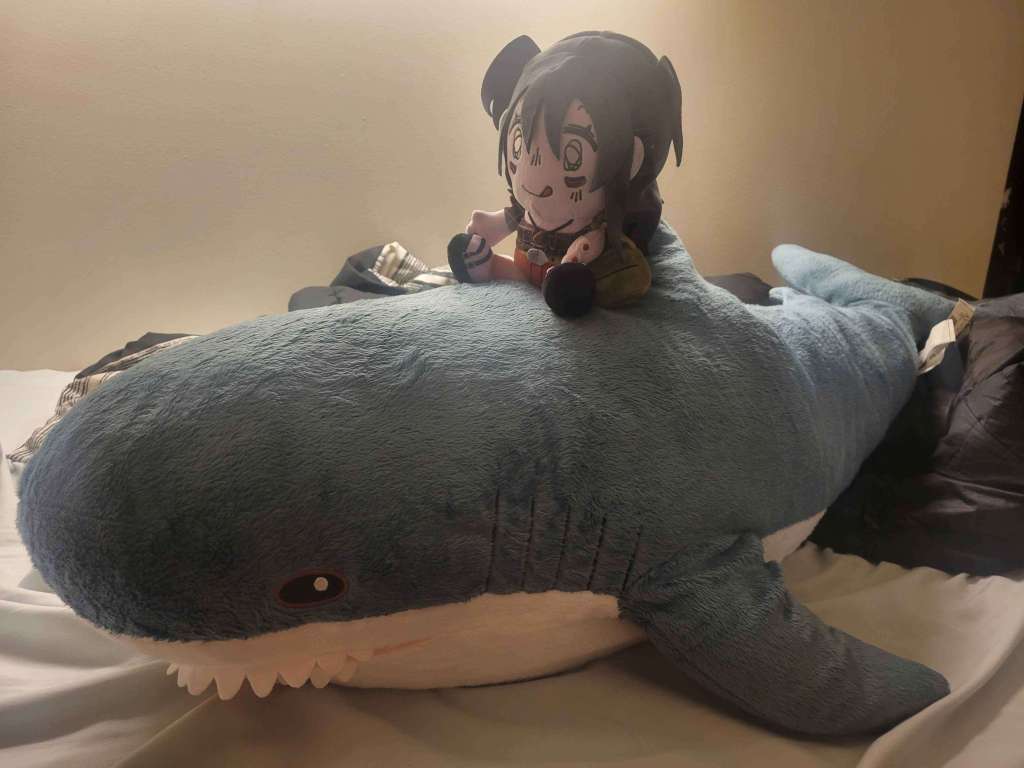 Dusk’s Adventures with Lacey the&nbsp;Plushie