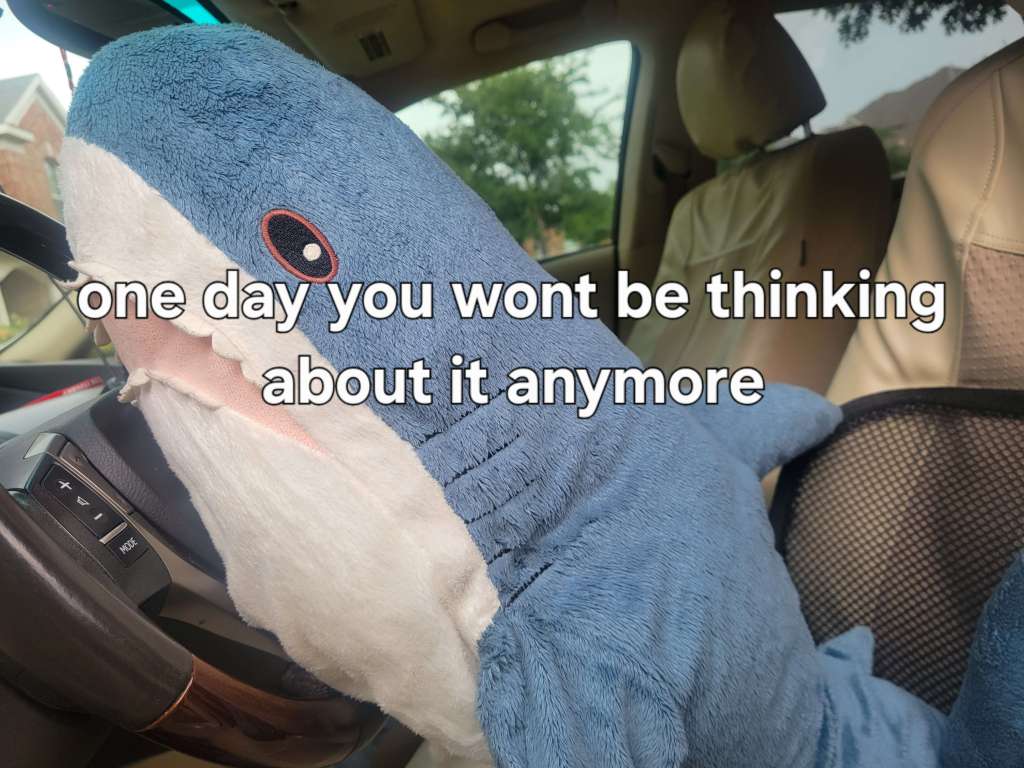 Why Dusk the Blåhaj is My Source of&nbsp;Happiness