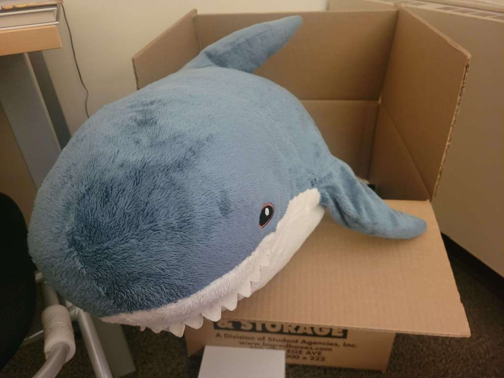 See You Later,&nbsp;Dusk!